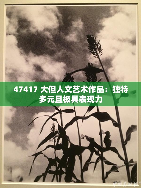 47417 大但人文艺术作品：独特多元且极具表现力