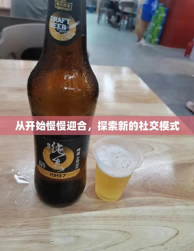 从开始慢慢迎合，探索新的社交模式