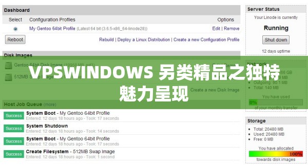 VPSWINDOWS 另类精品之独特魅力呈现