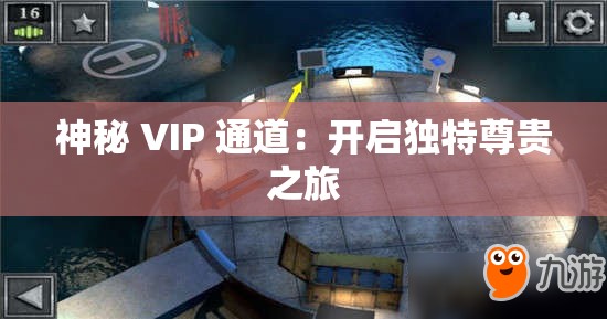 神秘 VIP 通道：开启独特尊贵之旅