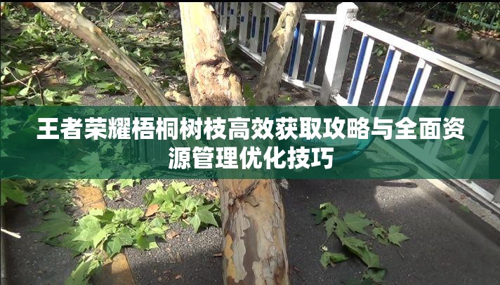 王者荣耀梧桐树枝高效获取攻略与全面资源管理优化技巧