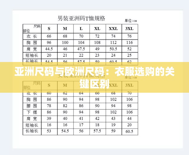 亚洲尺码与欧洲尺码：衣服选购的关键区别