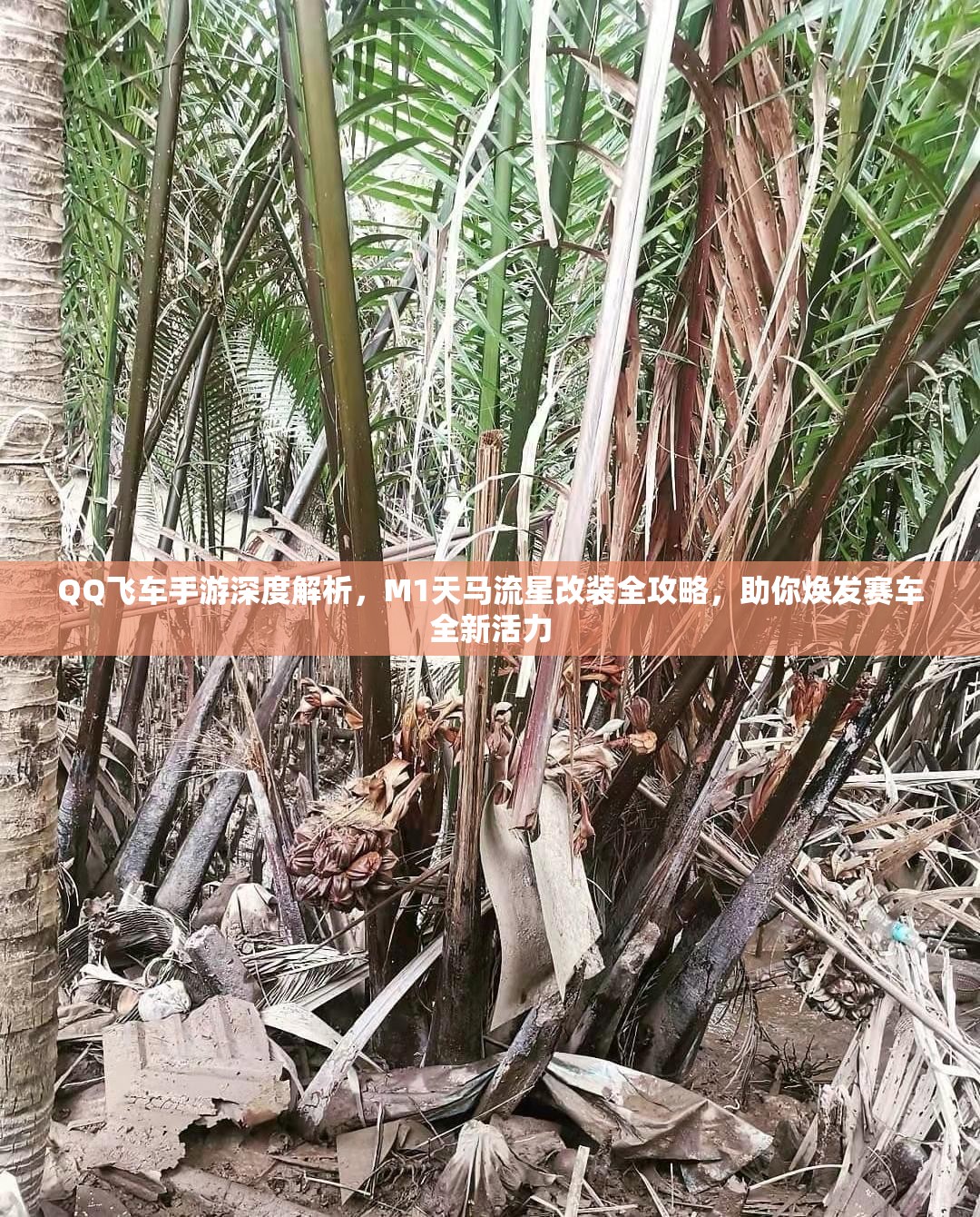 QQ飞车手游深度解析，M1天马流星改装全攻略，助你焕发赛车全新活力