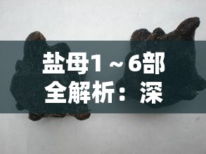 盐母1～6部全解析：深度探讨剧情发展与角色命运，揭秘盐母系列的核心魅力