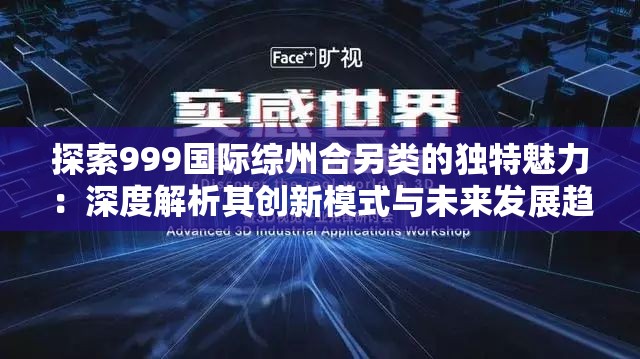 探索999国际综州合另类的独特魅力：深度解析其创新模式与未来发展趋势