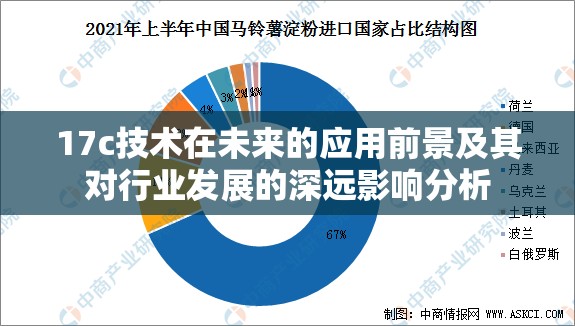 17c技术在未来的应用前景及其对行业发展的深远影响分析