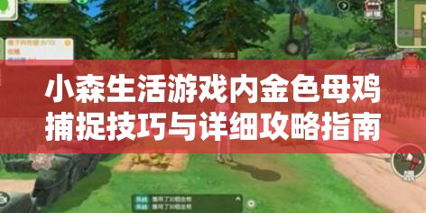 小森生活游戏内金色母鸡捕捉技巧与详细攻略指南