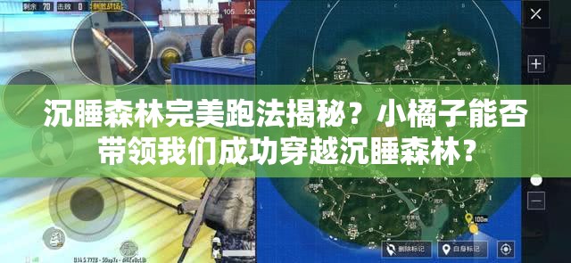 沉睡森林完美跑法揭秘？小橘子能否带领我们成功穿越沉睡森林？