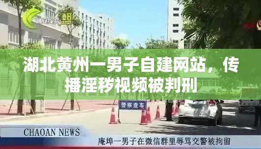 湖北黄州一男子自建网站，传播淫秽视频被判刑