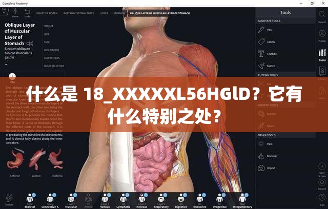 什么是 18_XXXXXL56HGlD？它有什么特别之处？