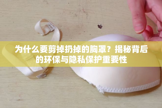 为什么要剪掉扔掉的胸罩？揭秘背后的环保与隐私保护重要性