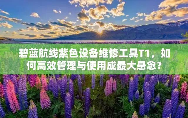 碧蓝航线紫色设备维修工具T1，如何高效管理与使用成最大悬念？