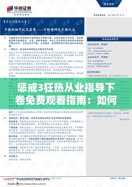 惩戒3狂热从业指导下卷免费观看指南：如何高效获取资源与观看技巧