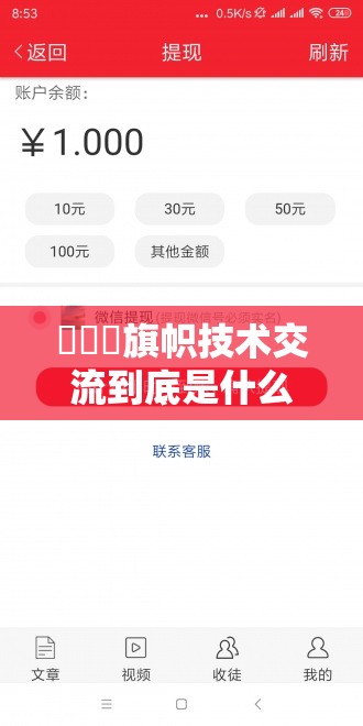 逹葢薾旗帜技术交流到底是什么？深入探讨其内涵与特点，引发全网关注