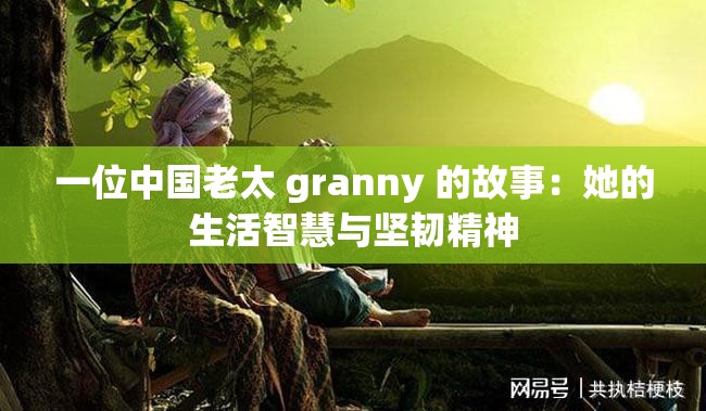 一位中国老太 granny 的故事：她的生活智慧与坚韧精神