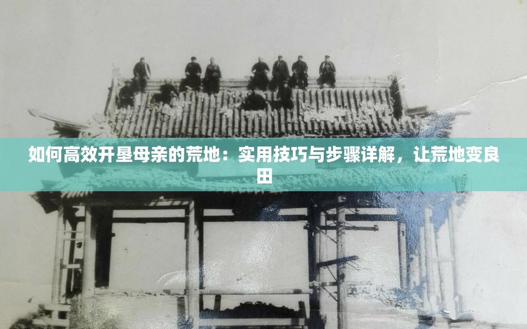 如何高效开垦母亲的荒地：实用技巧与步骤详解，让荒地变良田