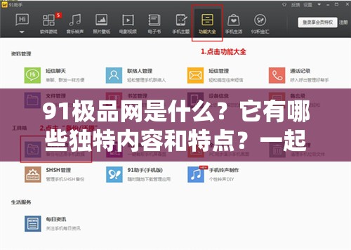 91极品网是什么？它有哪些独特内容和特点？一起来深入了解一下吧