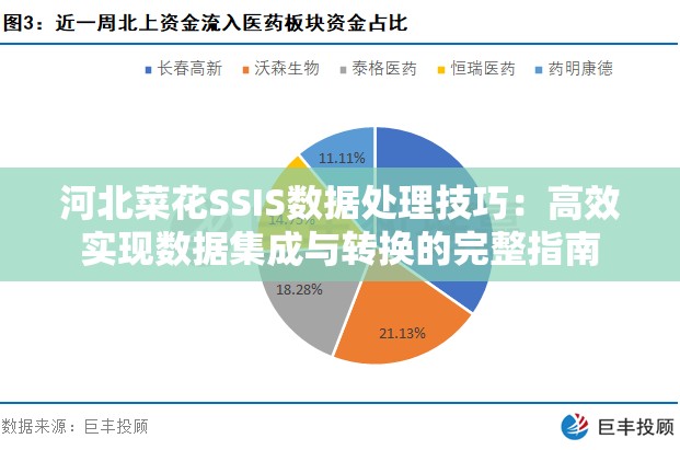 河北菜花SSIS数据处理技巧：高效实现数据集成与转换的完整指南