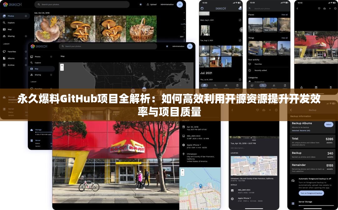 永久爆料GitHub项目全解析：如何高效利用开源资源提升开发效率与项目质量