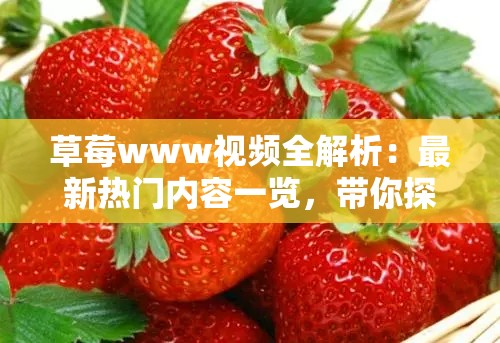 草莓www视频全解析：最新热门内容一览，带你探索草莓www背后的精彩世界