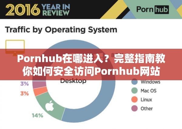 Pornhub在哪进入？完整指南教你如何安全访问Pornhub网站