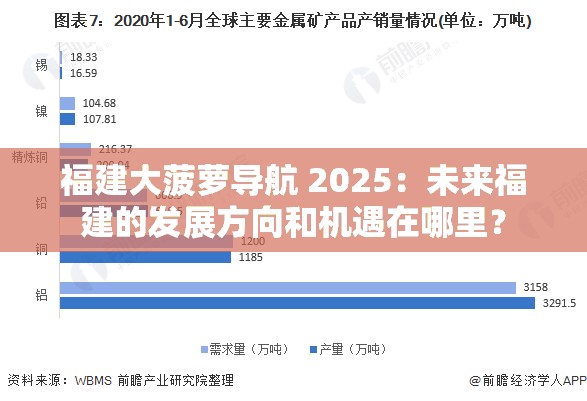 福建大菠萝导航 2025：未来福建的发展方向和机遇在哪里？