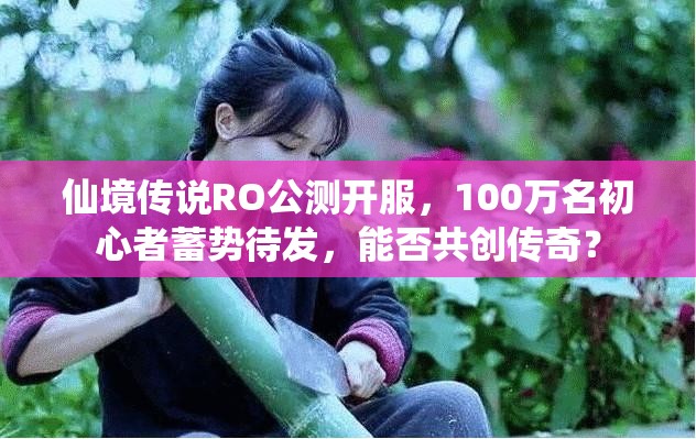 仙境传说RO公测开服，100万名初心者蓄势待发，能否共创传奇？