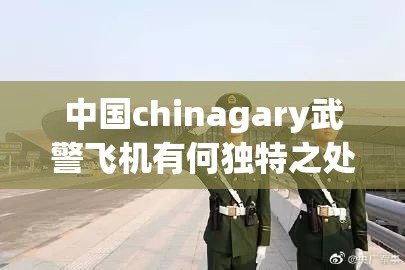 中国chinagary武警飞机有何独特之处？其性能与作用大揭秘