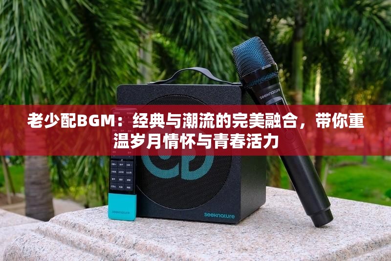 老少配BGM：经典与潮流的完美融合，带你重温岁月情怀与青春活力