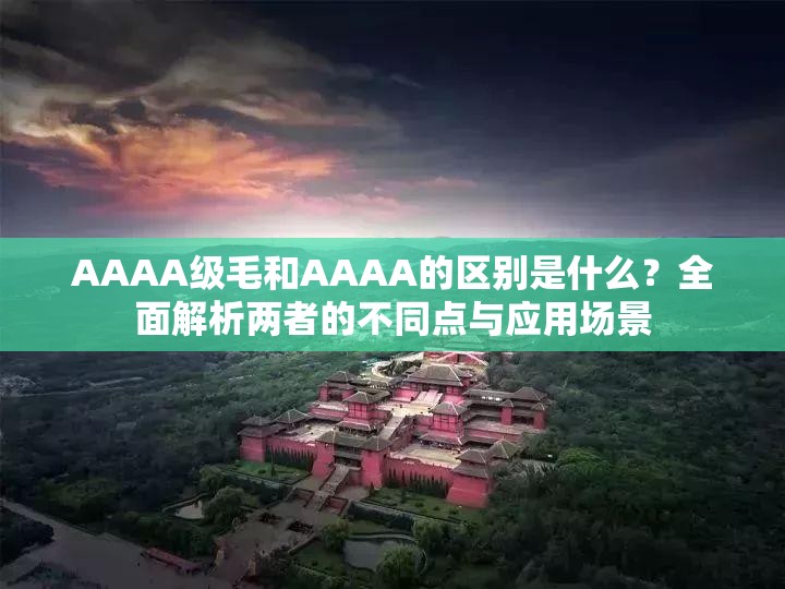 AAAA级毛和AAAA的区别是什么？全面解析两者的不同点与应用场景