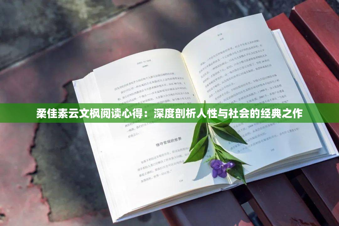 柔佳素云文枫阅读心得：深度剖析人性与社会的经典之作