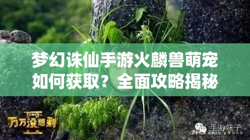 梦幻诛仙手游火麟兽萌宠如何获取？全面攻略揭秘悬念！