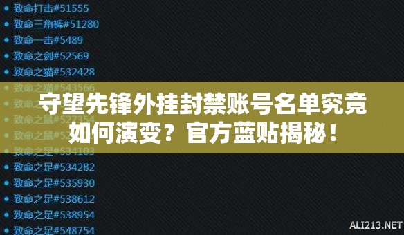 守望先锋外挂封禁账号名单究竟如何演变？官方蓝贴揭秘！