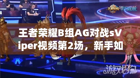 王者荣耀B组AG对战sViper视频第2场，新手如何精通其攻略秘诀？