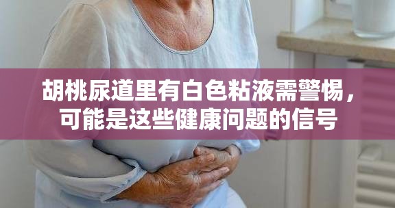 胡桃尿道里有白色粘液需警惕，可能是这些健康问题的信号