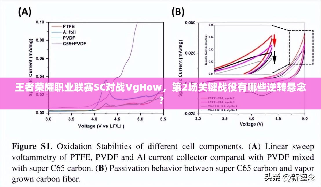 王者荣耀职业联赛SC对战VgHow，第2场关键战役有哪些逆转悬念？