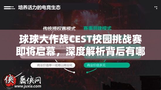 球球大作战CEST校园挑战赛即将启幕，深度解析背后有哪些惊喜值得期待？