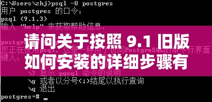 请问关于按照 9.1 旧版如何安装的详细步骤有哪些呢从 9.1 旧版安装过程中需要注意哪些要点呢关于依据 9.1 旧版进行安装的技巧和方法是什么呢