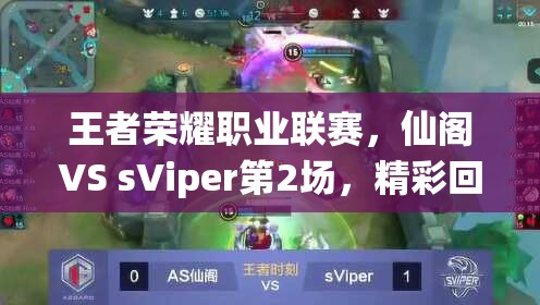 王者荣耀职业联赛，仙阁VS sViper第2场，精彩回顾与战术分析揭秘？