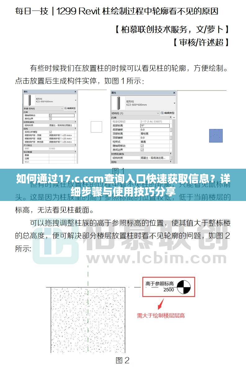 如何通过17.c.ccm查询入口快速获取信息？详细步骤与使用技巧分享