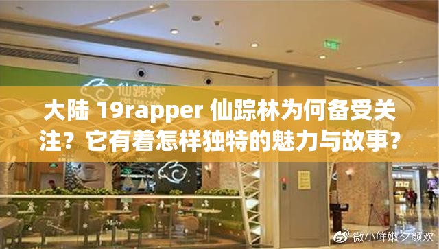 大陆 19rapper 仙踪林为何备受关注？它有着怎样独特的魅力与故事？