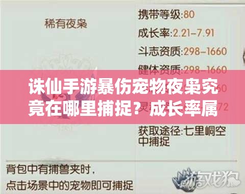 诛仙手游暴伤宠物夜枭究竟在哪里捕捉？成长率属性有何奥秘？