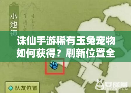 诛仙手游稀有玉兔宠物如何获得？刷新位置全攻略，预见玩法新革命？