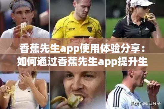 香蕉先生app使用体验分享：如何通过香蕉先生app提升生活效率与娱乐体验？