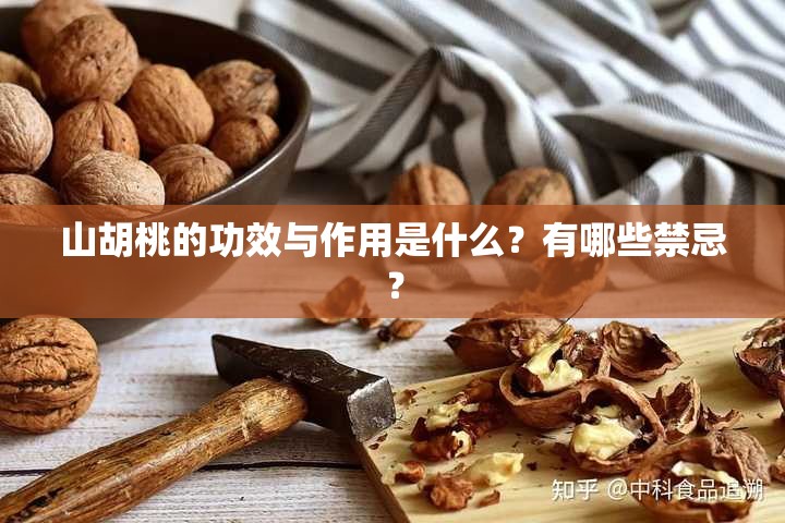 山胡桃的功效与作用是什么？有哪些禁忌？