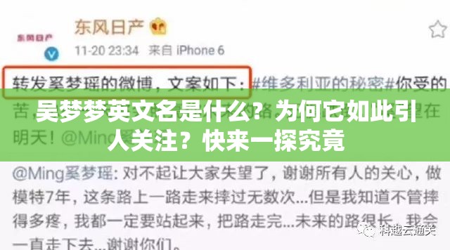 吴梦梦英文名是什么？为何它如此引人关注？快来一探究竟