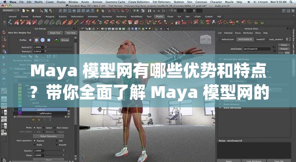 Maya 模型网有哪些优势和特点？带你全面了解 Maya 模型网的魅力