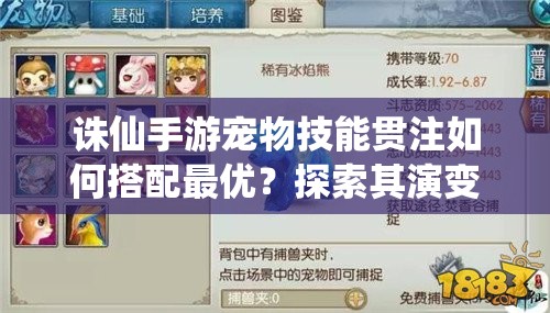 诛仙手游宠物技能贯注如何搭配最优？探索其演变史揭秘答案