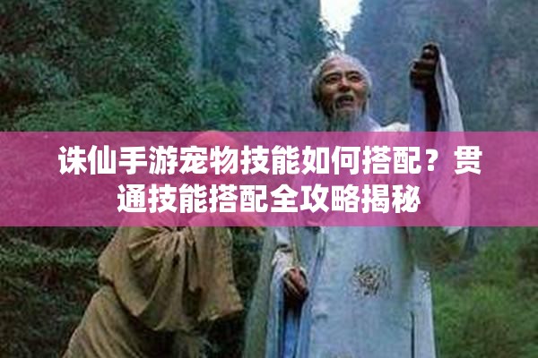 诛仙手游宠物技能如何搭配？贯通技能搭配全攻略揭秘