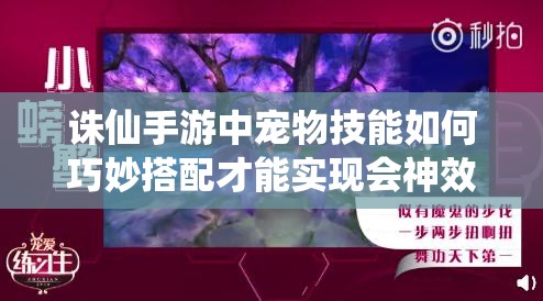 诛仙手游中宠物技能如何巧妙搭配才能实现会神效果？